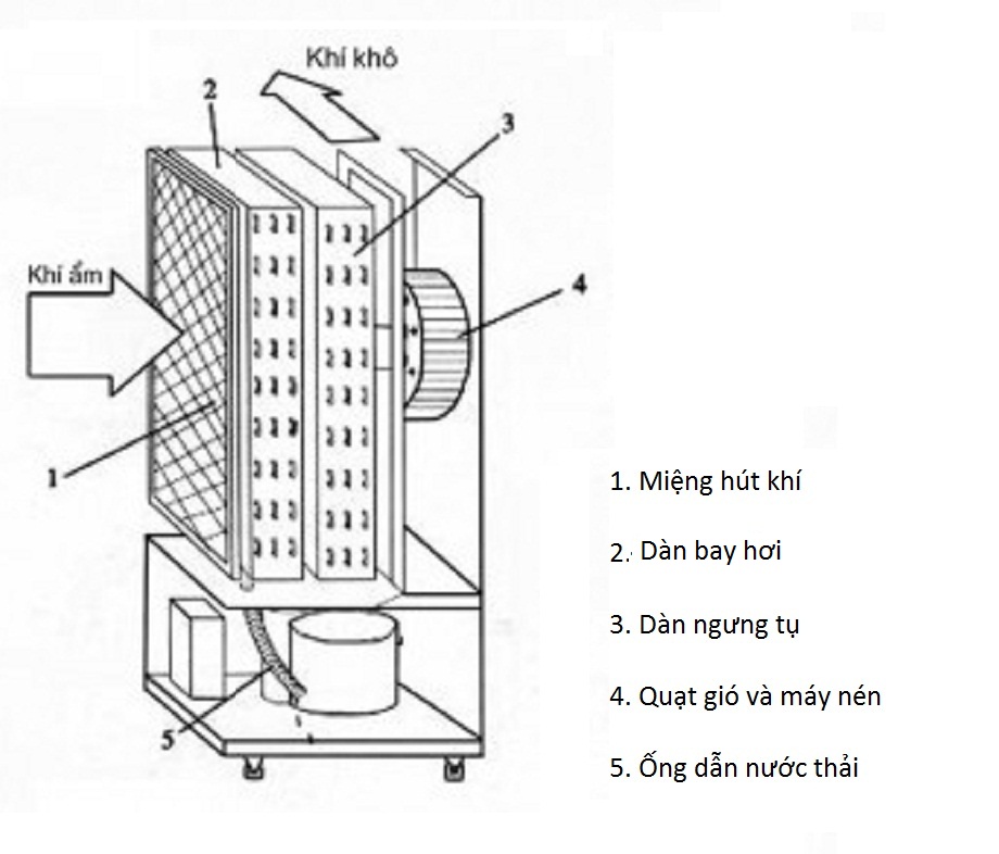 Nguyên Lý Hoạt Động Máy Hút Ẩm: Bạn Đã Hiểu Rõ Chưa?