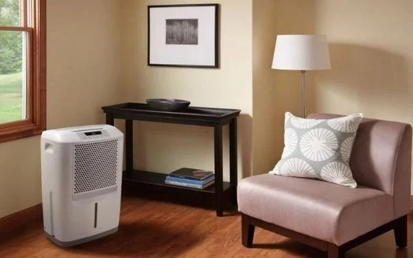 Máy Hút Ẩm Và Đồ Gỗ